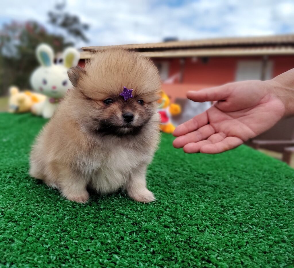 IMG_20230524_123010372_MF_PORTRAIT-scaled