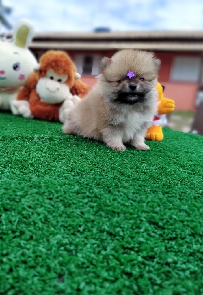 IMG_20230524_123026221_MF_PORTRAIT-scaled