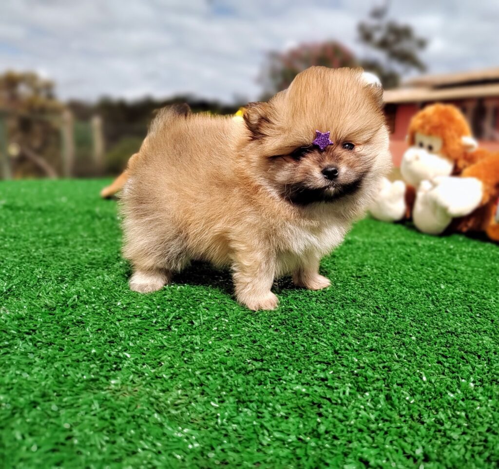 IMG_20230524_123122602_MF_PORTRAIT-scaled