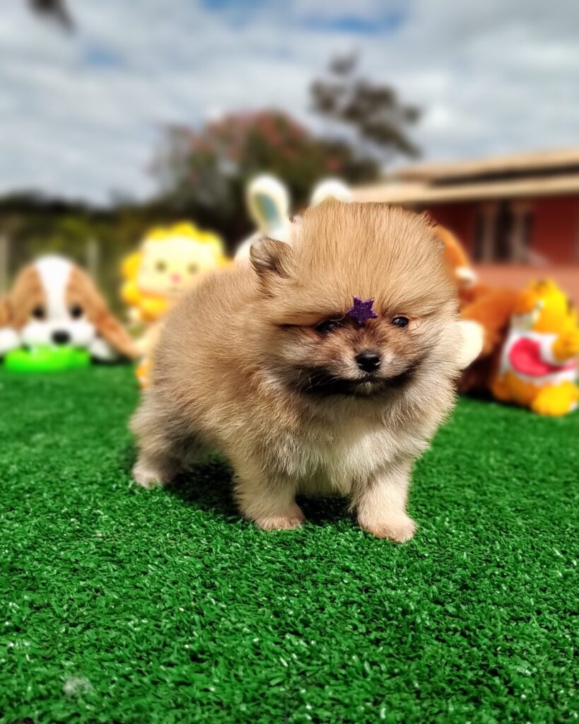 IMG_20230524_123130364_MF_PORTRAIT-scaled