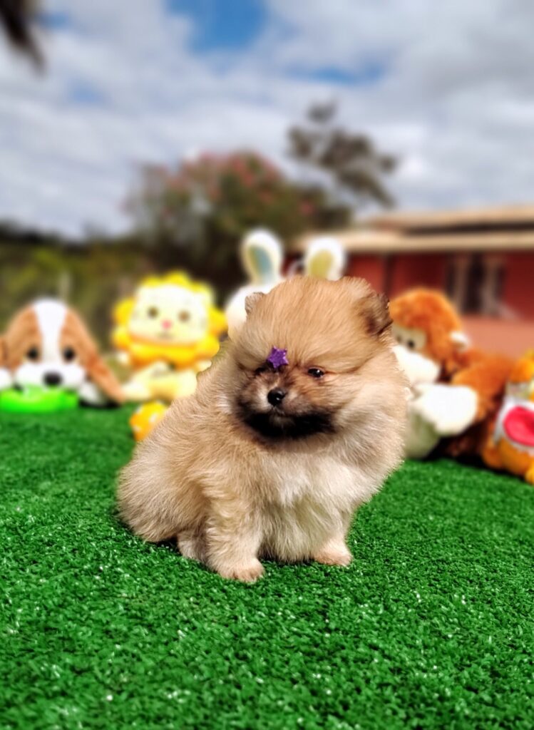 IMG_20230524_123132037_MF_PORTRAIT-scaled