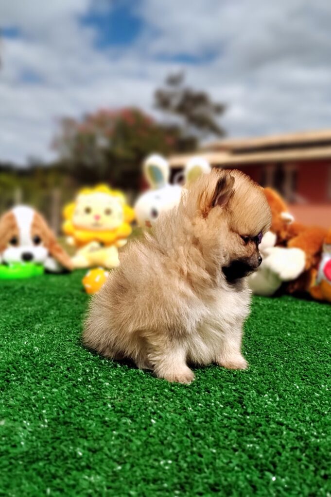 IMG_20230524_123138330_MF_PORTRAIT-scaled