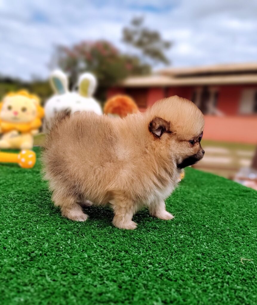 IMG_20230524_123145590_MF_PORTRAIT-scaled