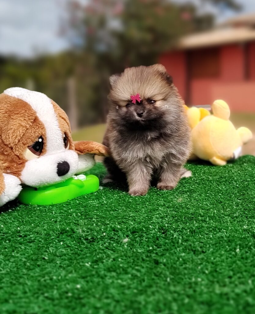 IMG_20230524_124139030_MF_PORTRAIT