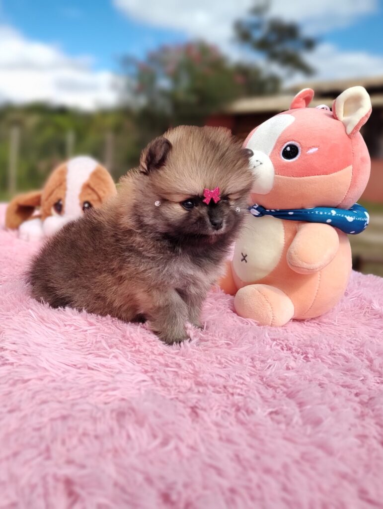 IMG_20230524_124731652_MF_PORTRAIT-scaled