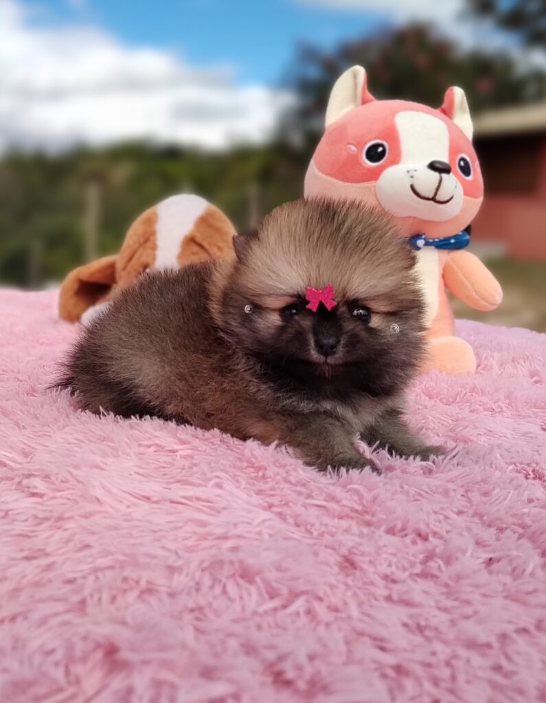 IMG_20230524_124743014_MF_PORTRAIT