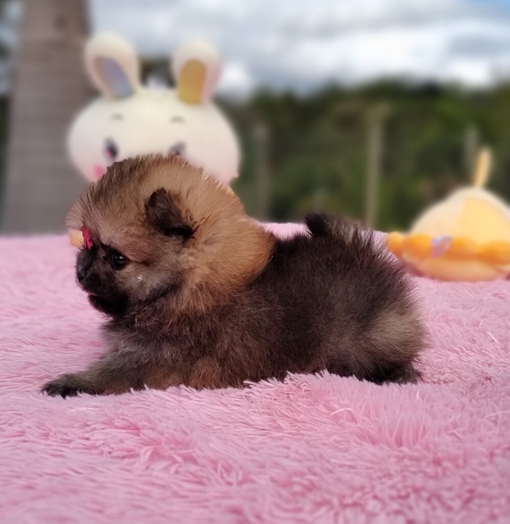 IMG_20230524_124758281_MF_PORTRAIT