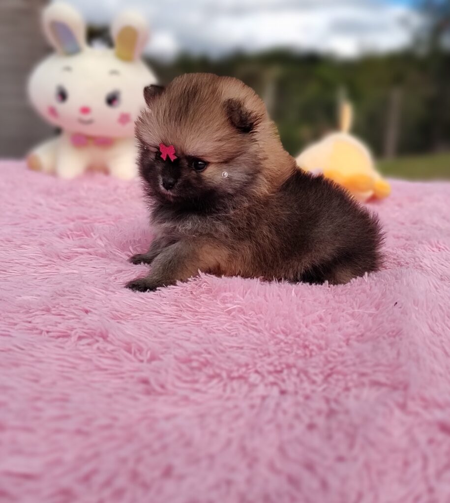 IMG_20230524_124801893_MF_PORTRAIT