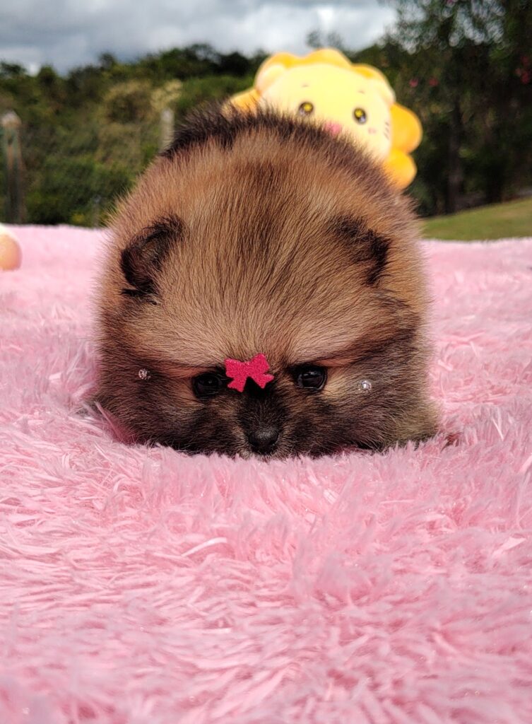 IMG_20230524_124950826