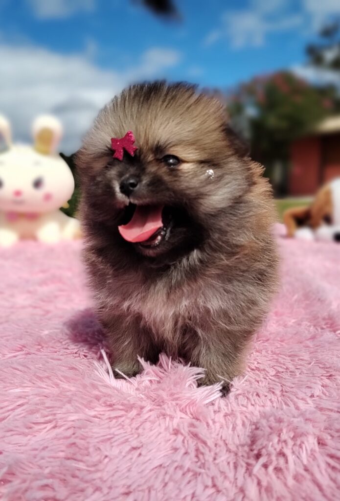 IMG_20230524_124959875_MF_PORTRAIT-scaled