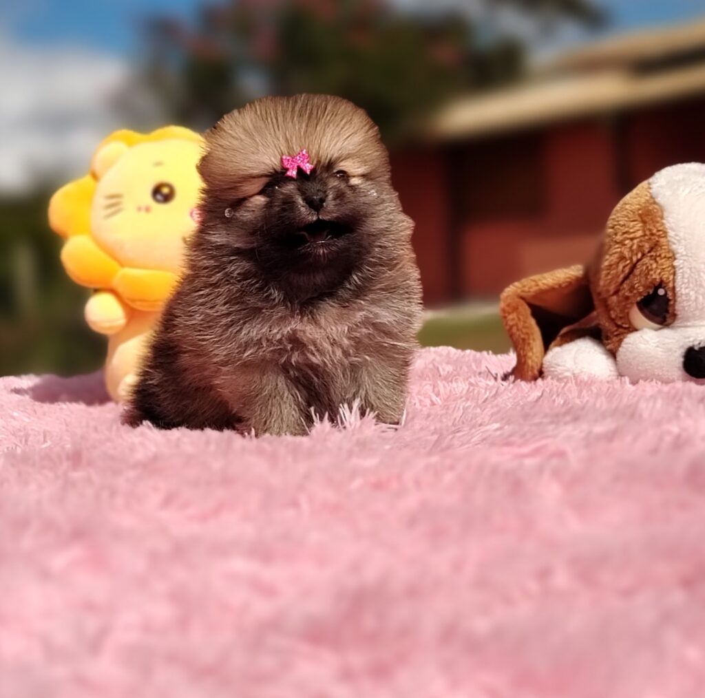 IMG_20230524_125012928_MF_PORTRAIT