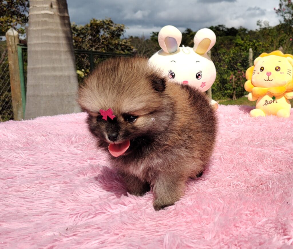 IMG_20230524_125047456