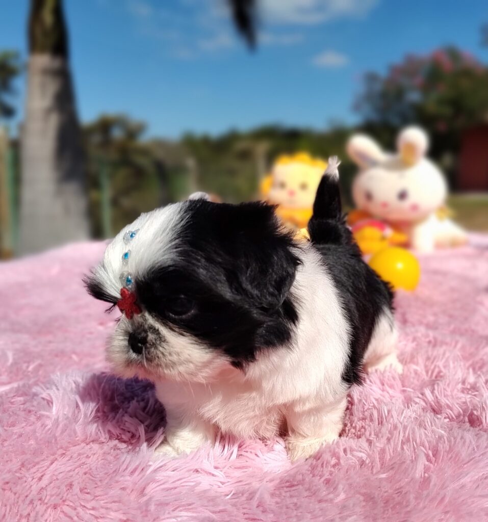 IMG_20230603_133517821_MF_PORTRAIT-scaled