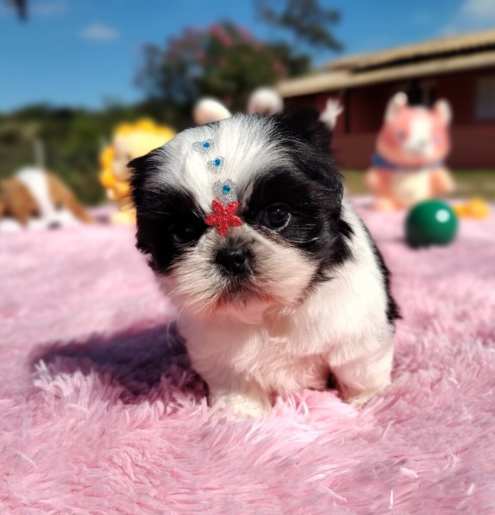 IMG_20230603_133521567_MF_PORTRAIT-scaled