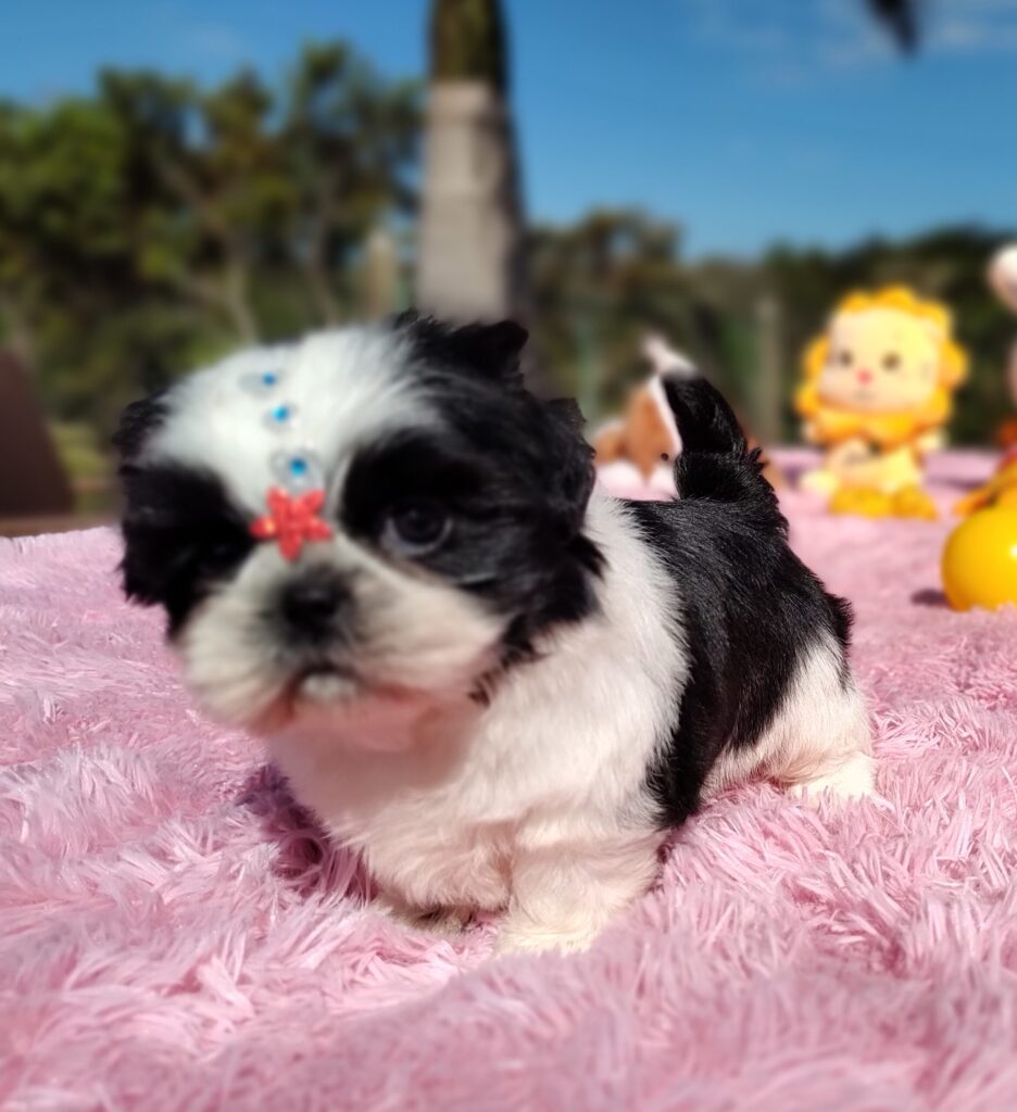 IMG_20230603_133531437_MF_PORTRAIT-scaled