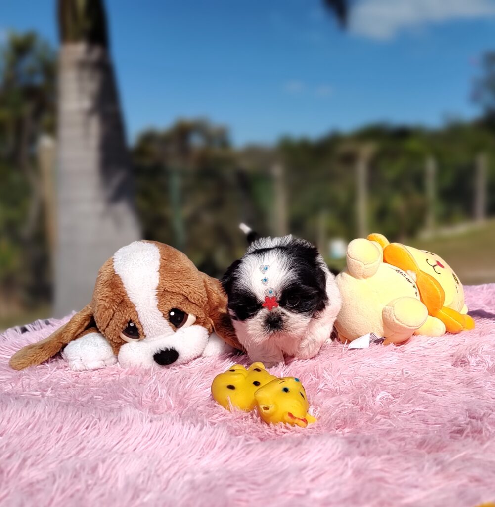 IMG_20230603_133713387_MF_PORTRAIT