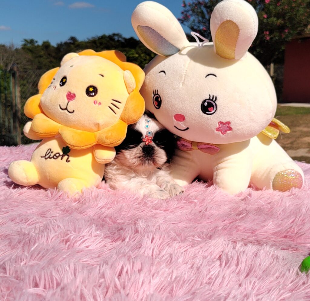 IMG_20230603_133805489