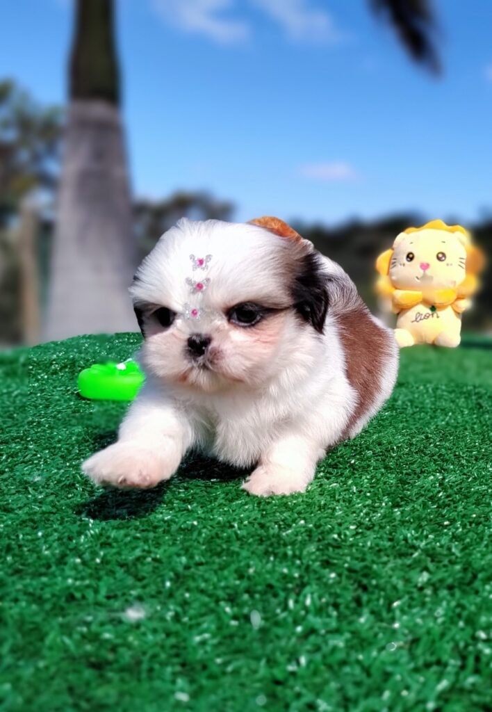 IMG_20230603_140146444_MF_PORTRAIT-scaled