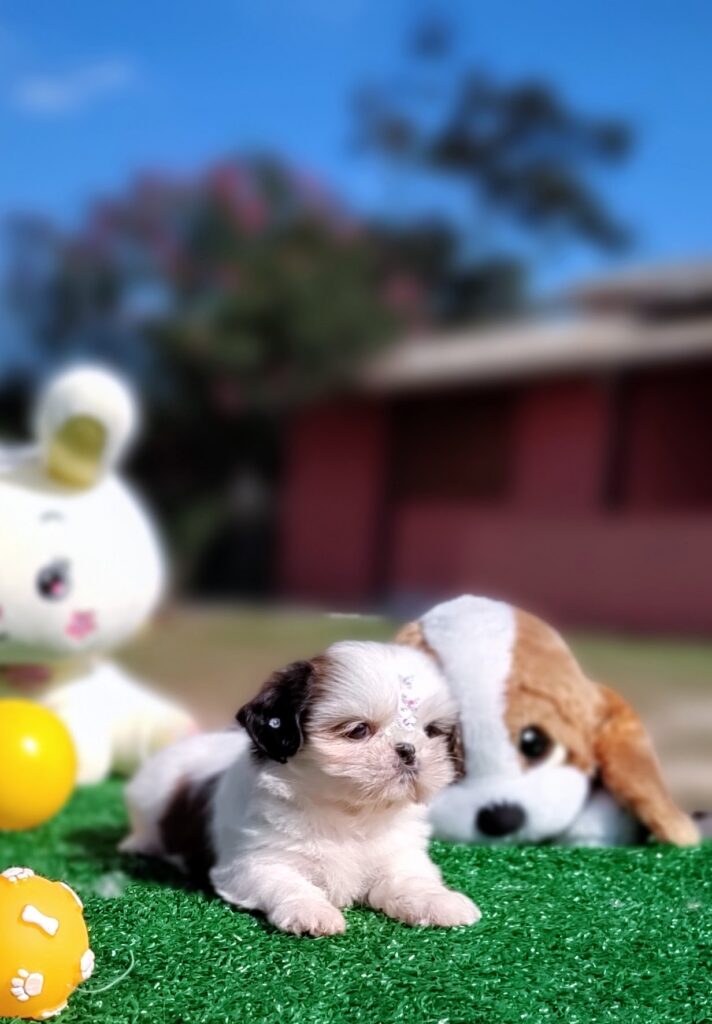 IMG_20230603_140200736_MF_PORTRAIT