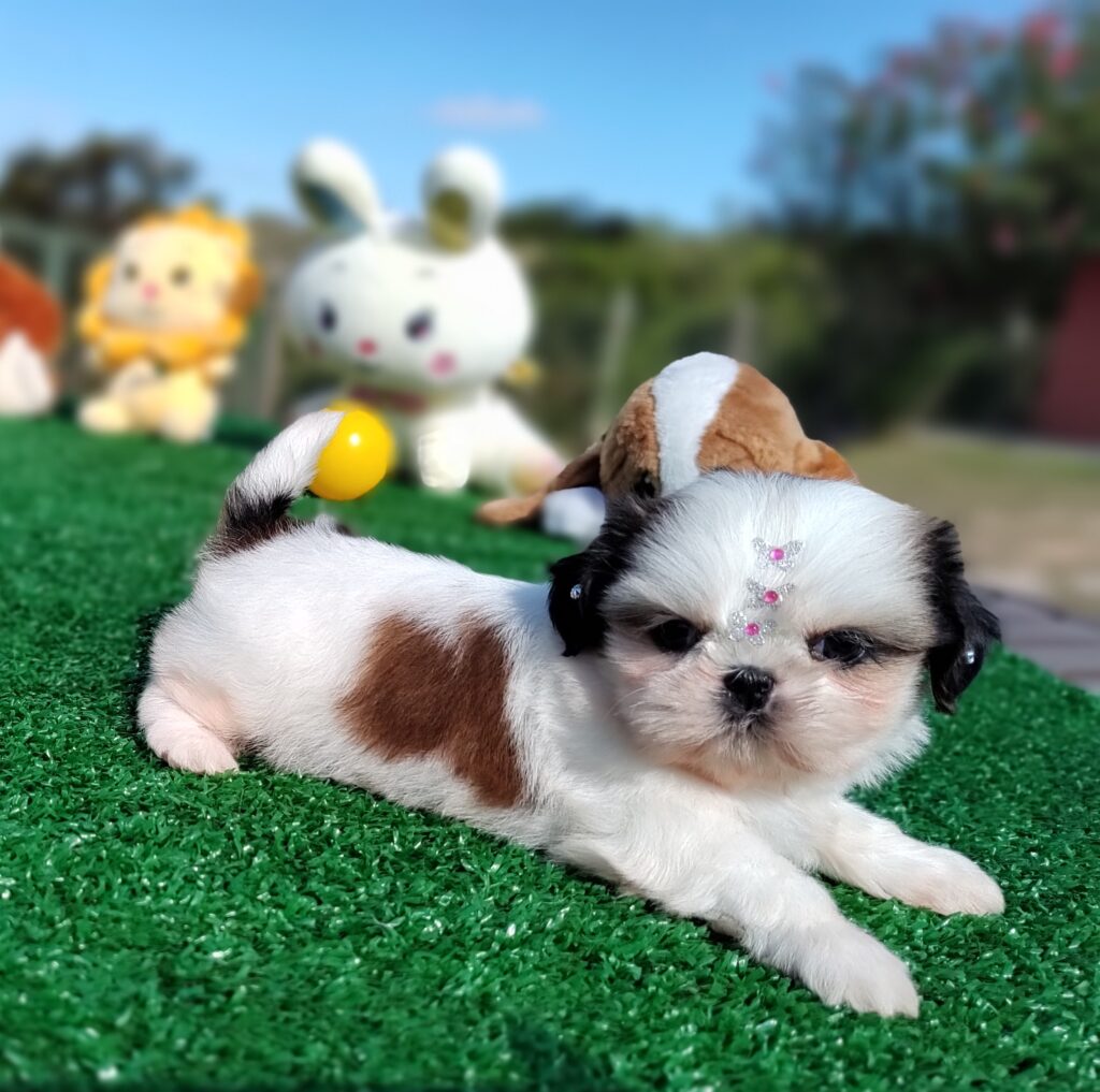 IMG_20230603_140322199_MF_PORTRAIT