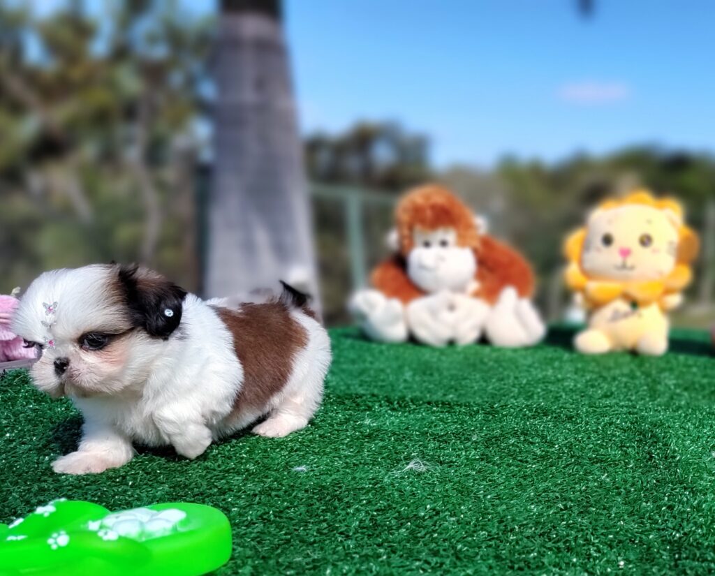 IMG_20230603_140327782_MF_PORTRAIT