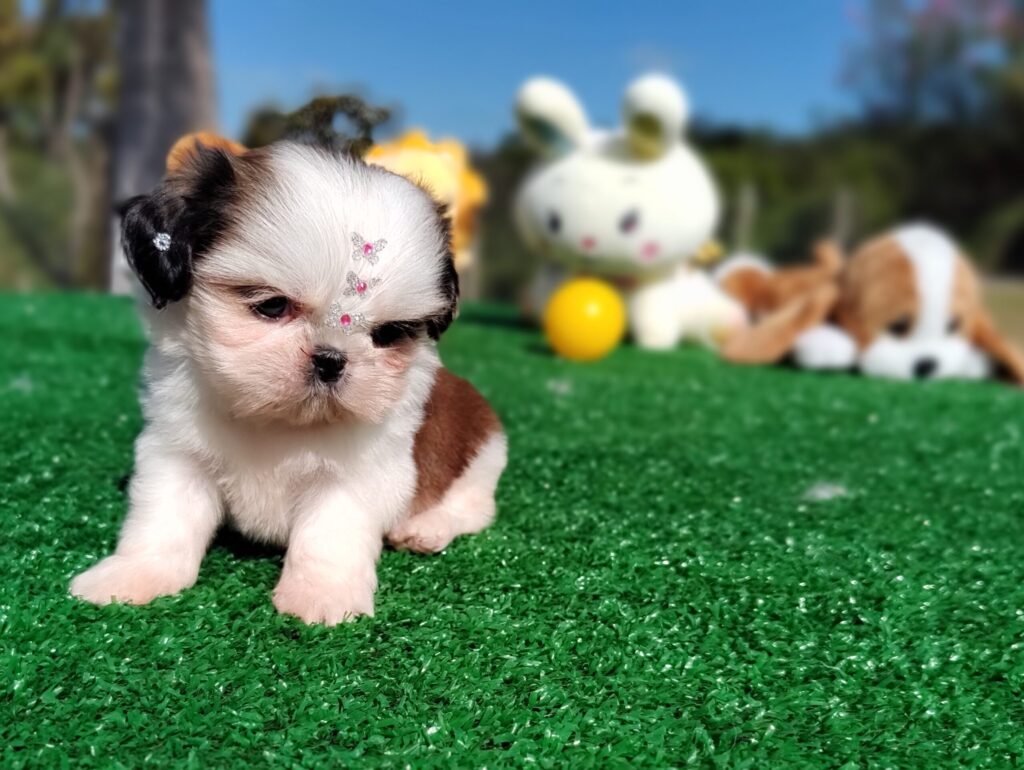 IMG_20230603_140455241_MF_PORTRAIT-scaled