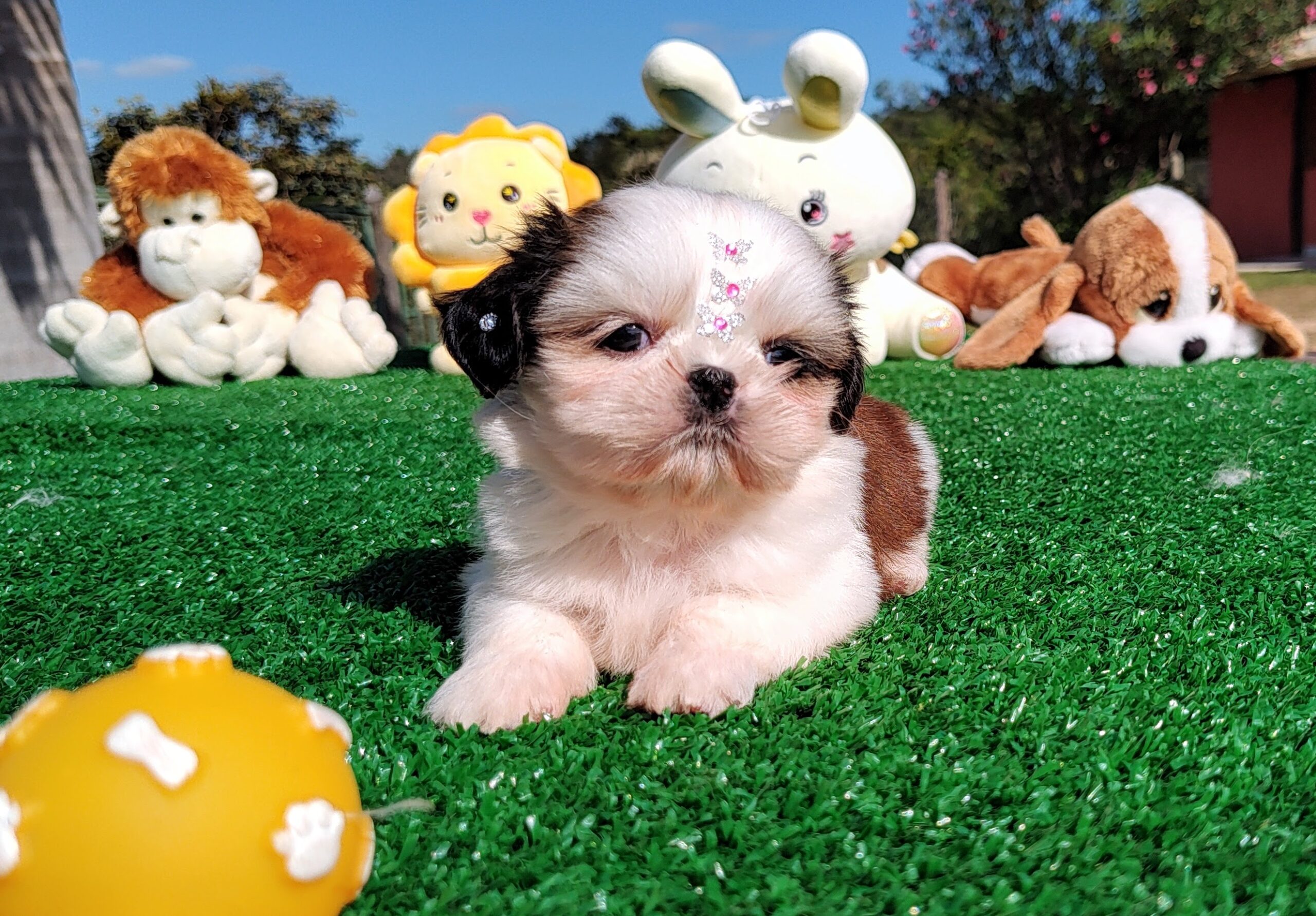 IMG_20230603_140606163-scaled