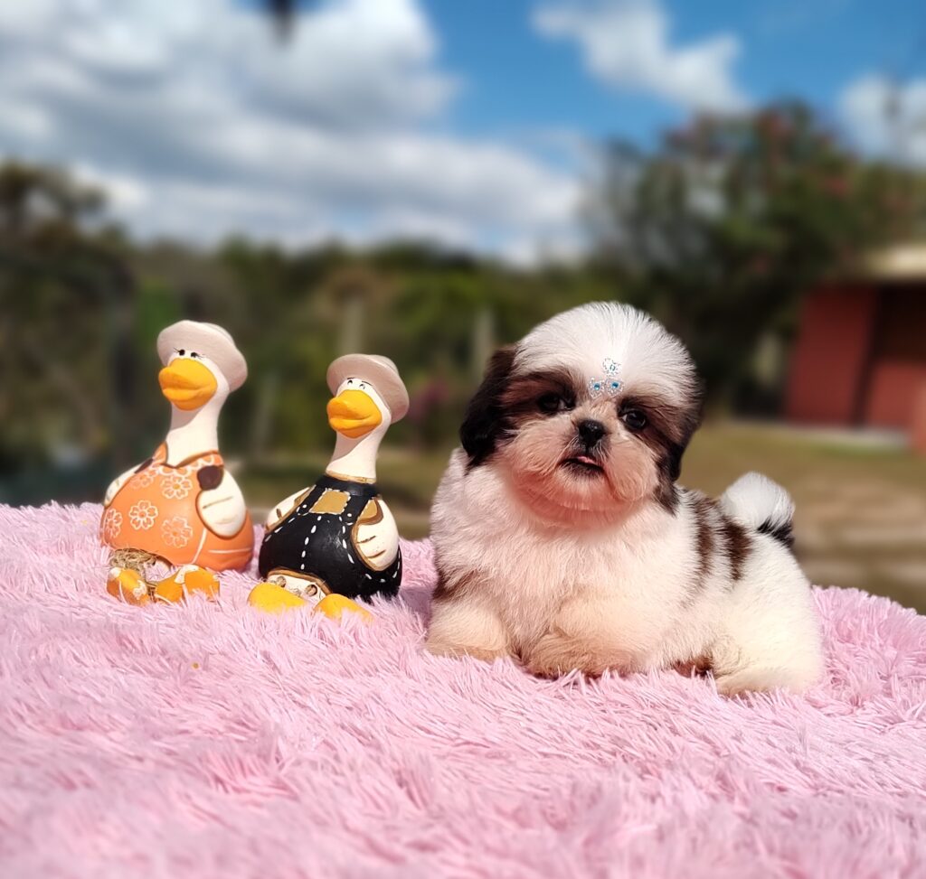 IMG_20230620_125229681_MF_PORTRAIT