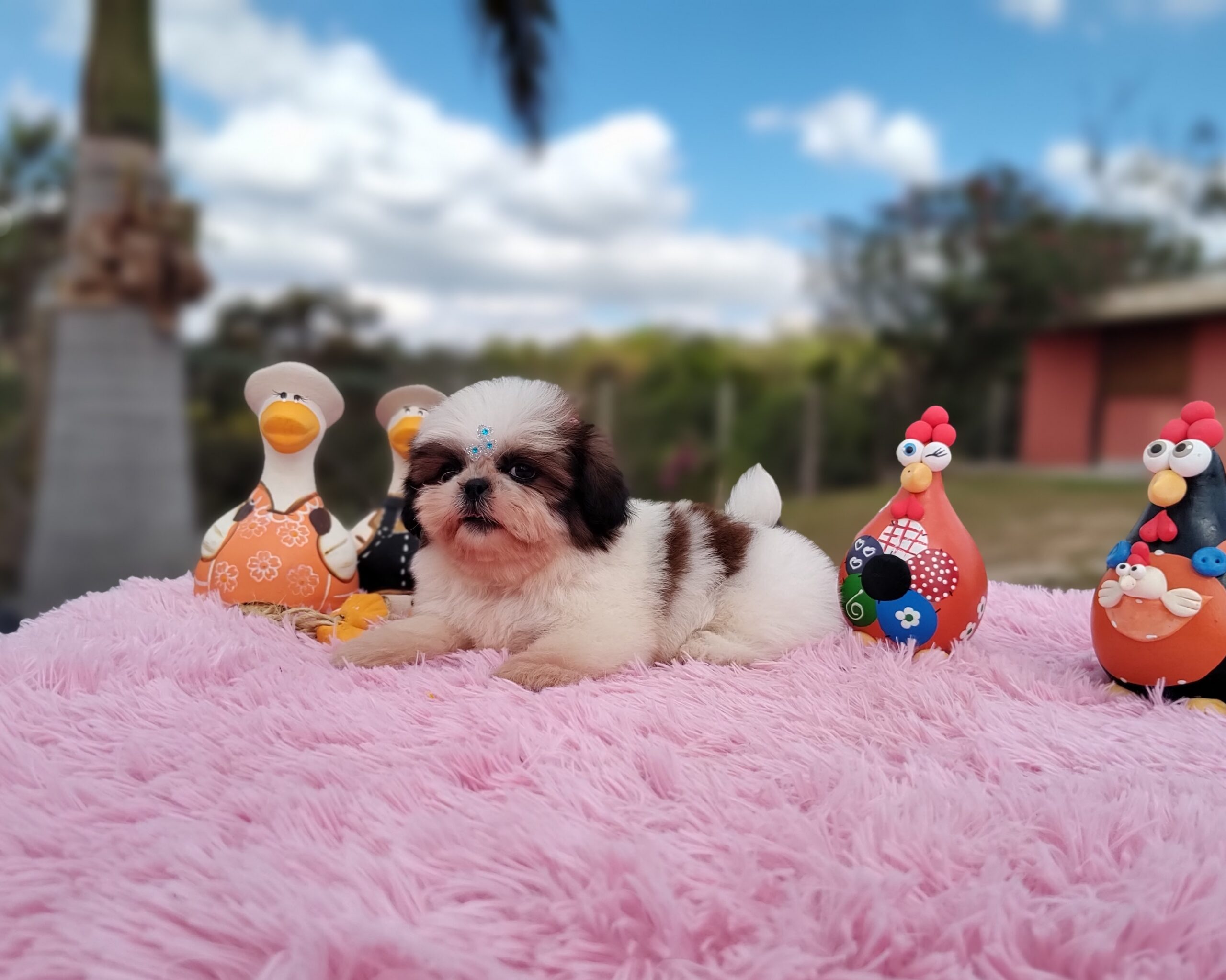 IMG_20230620_125337502_MF_PORTRAIT-scaled