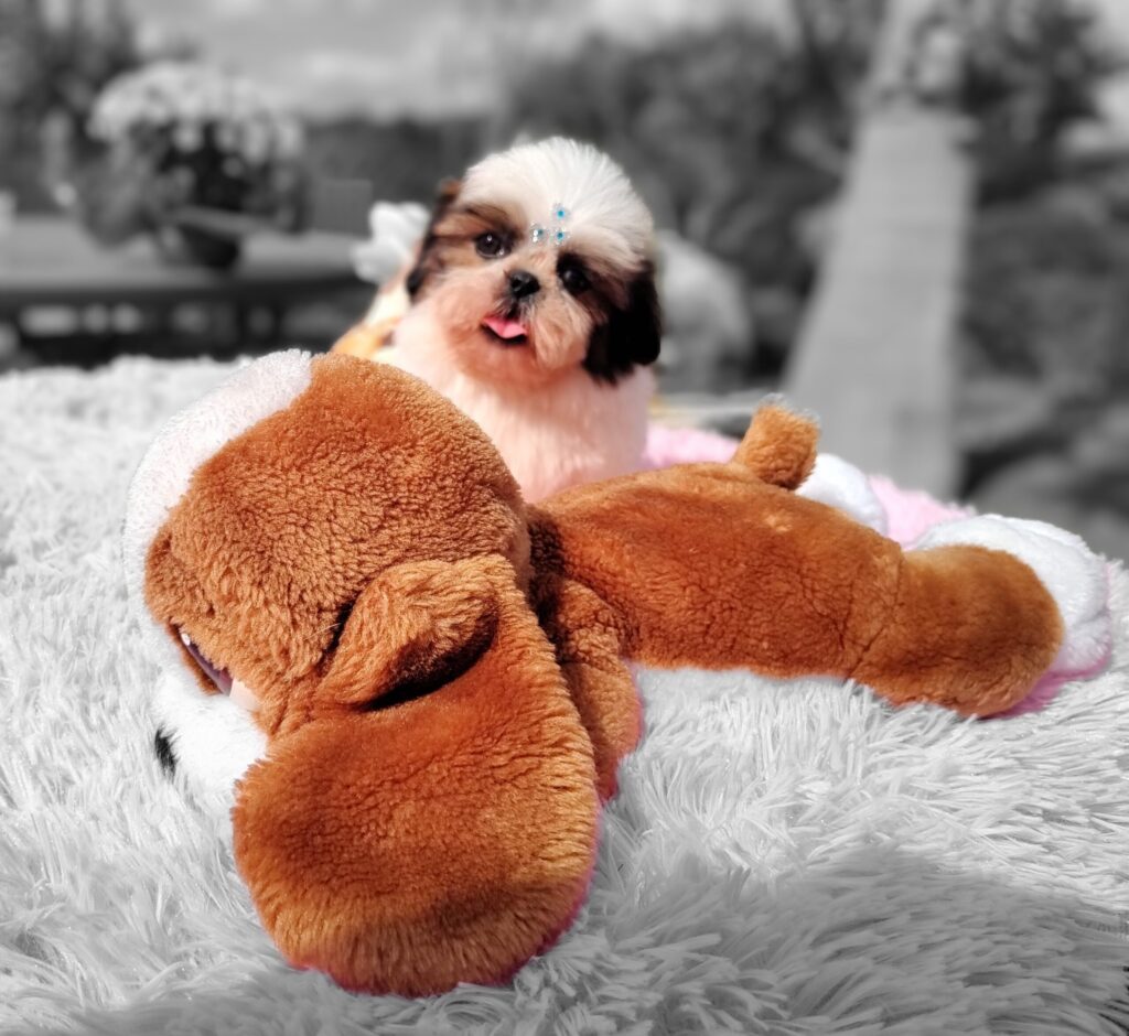 IMG_20230620_125521111_MF_PORTRAIT3-scaled