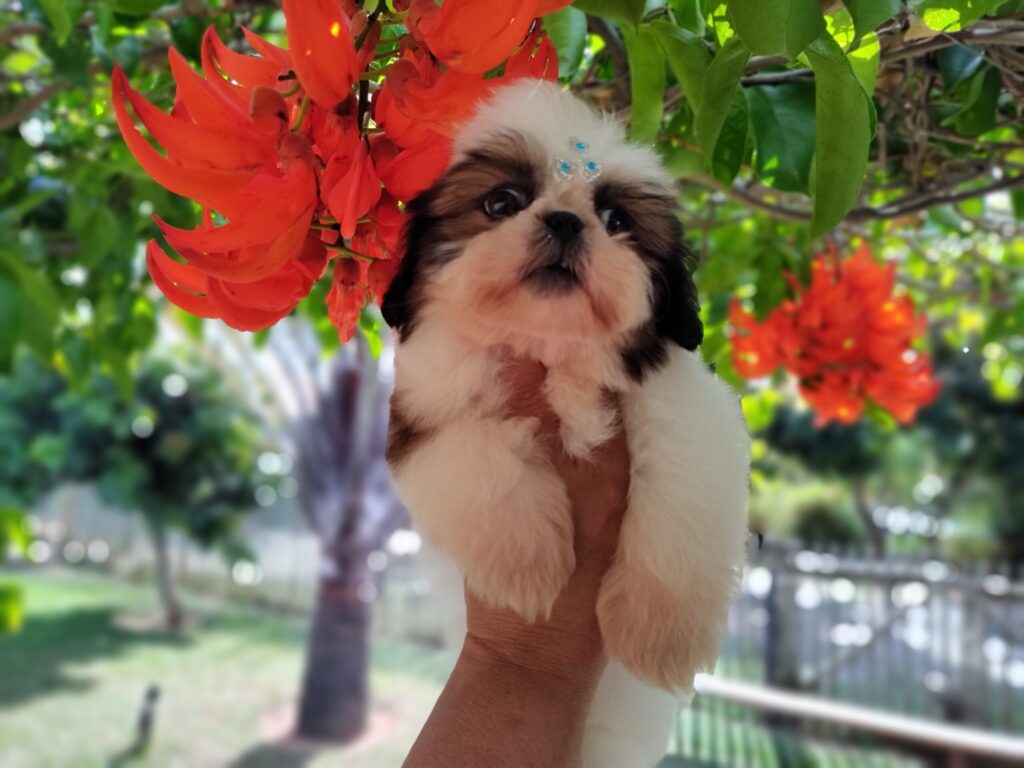 IMG_20230620_125941619_MF_PORTRAIT-scaled