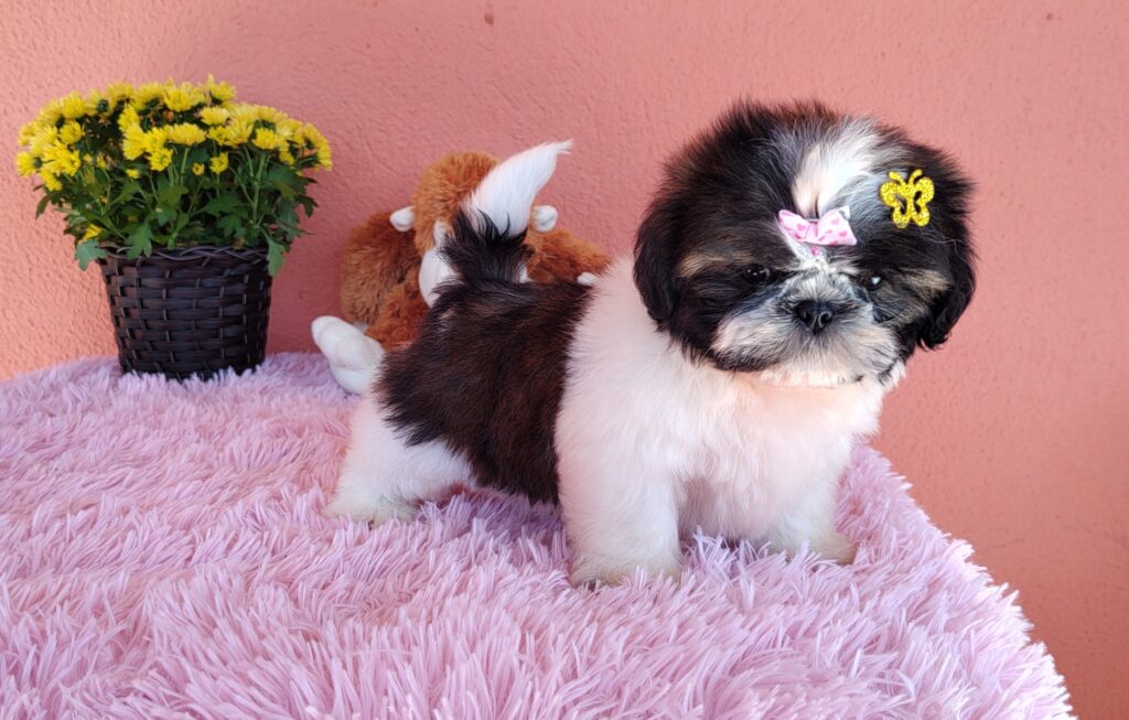 IMG_20230705_104628873