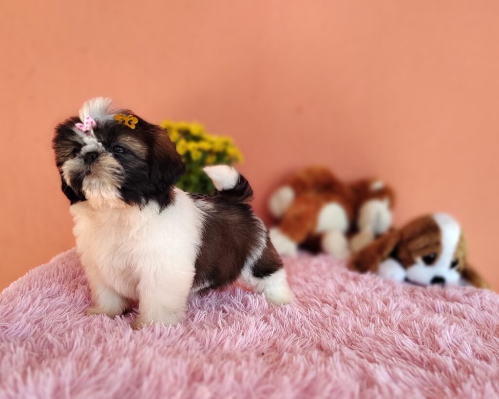 IMG_20230705_104813543_MF_PORTRAIT