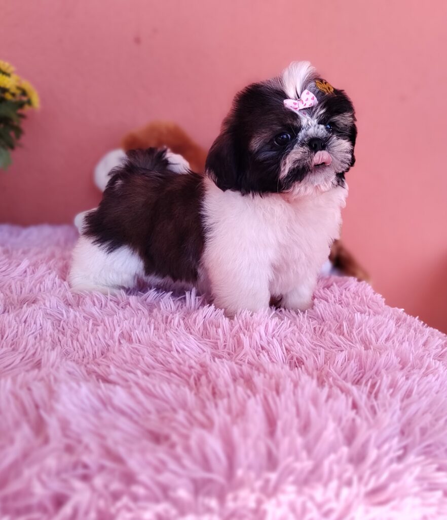 IMG_20230705_104826435_MF_PORTRAIT