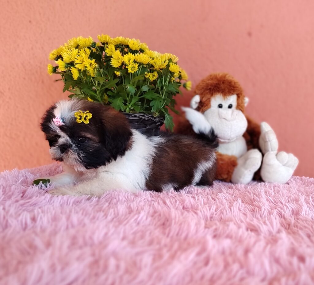 IMG_20230705_105106630_MF_PORTRAIT