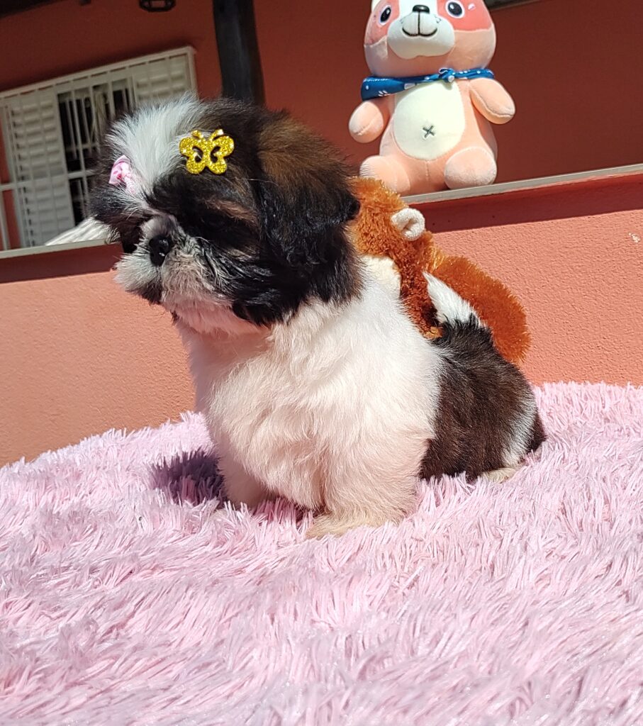 IMG_20230705_105909367