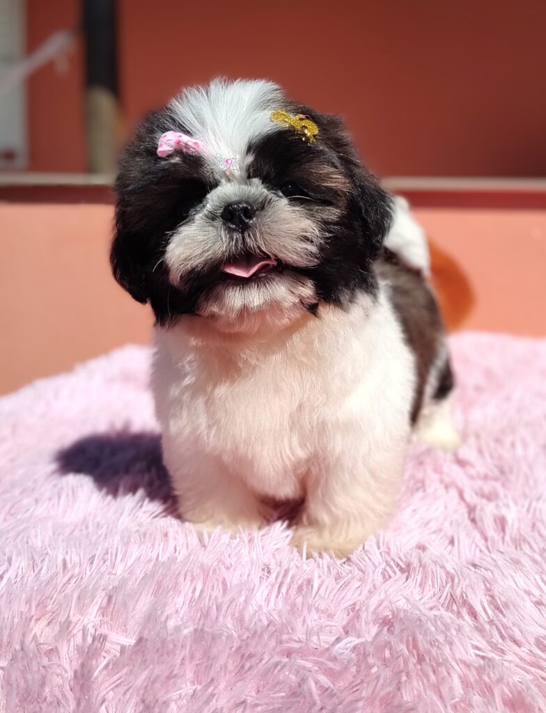 IMG_20230705_105946735_MF_PORTRAIT~2