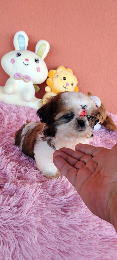 IMG_20230714_151253743