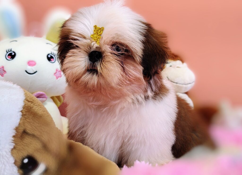 IMG_20230725_132142863~2