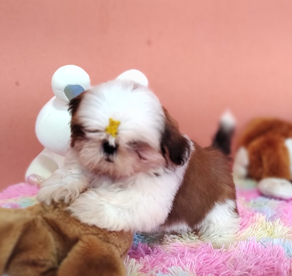 IMG_20230725_132616457_MF_PORTRAIT