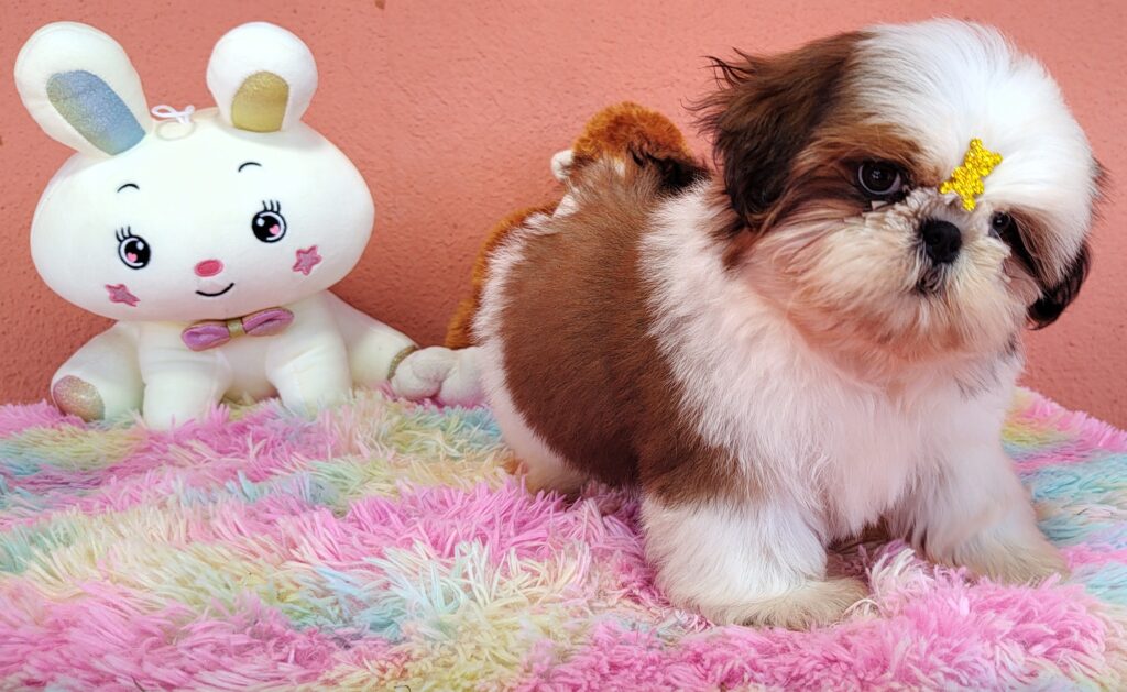 IMG_20230725_133205752