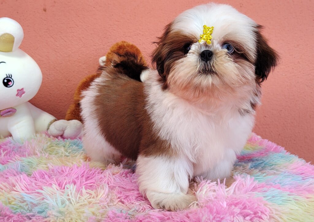 IMG_20230725_133207033