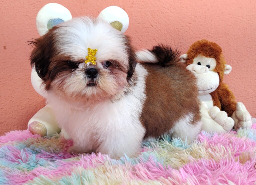 IMG_20230725_133214576