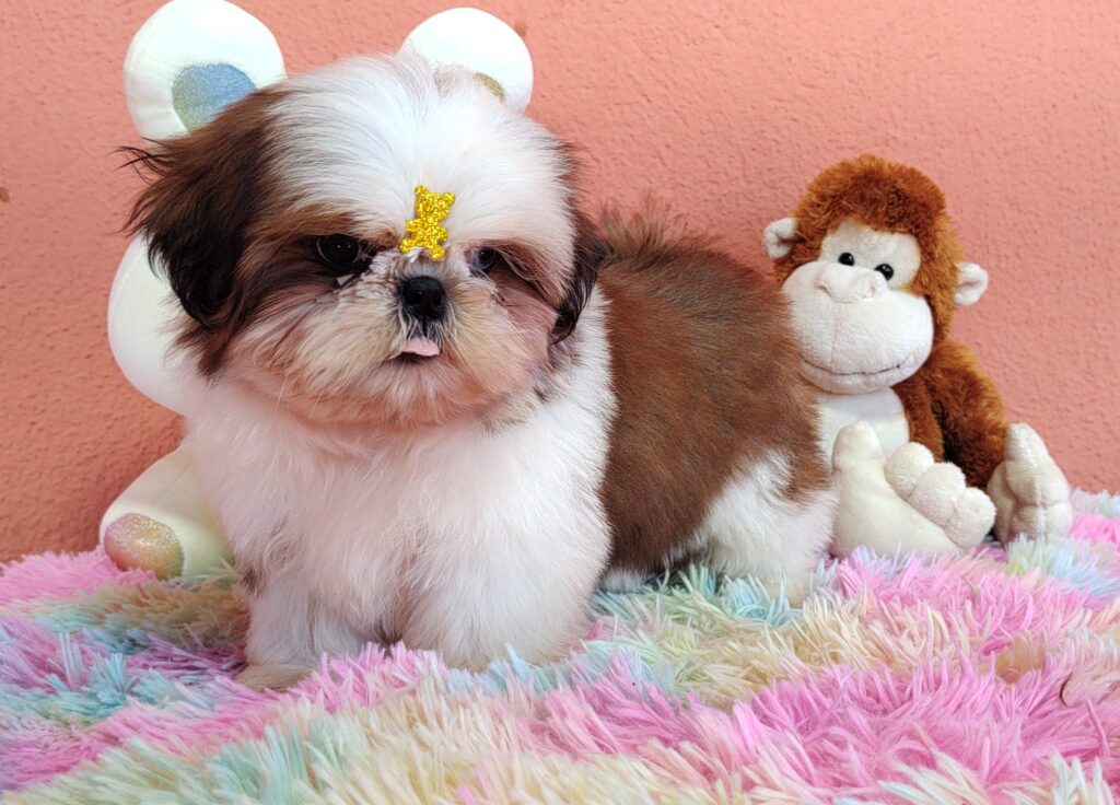 IMG_20230725_133215174