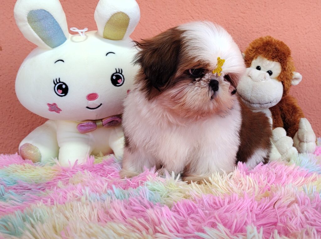 IMG_20230725_133218610