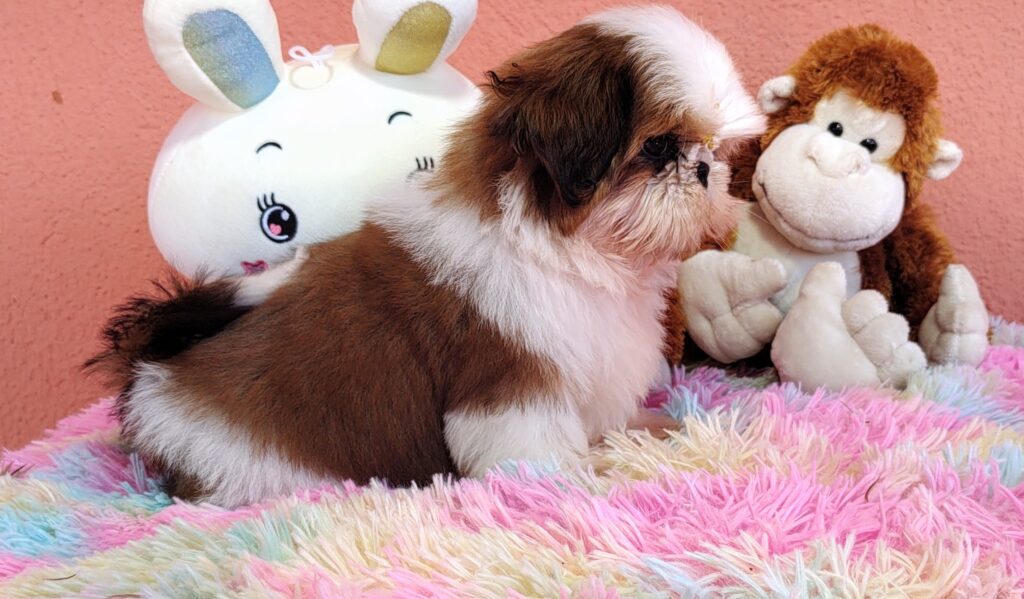 IMG_20230725_133237486