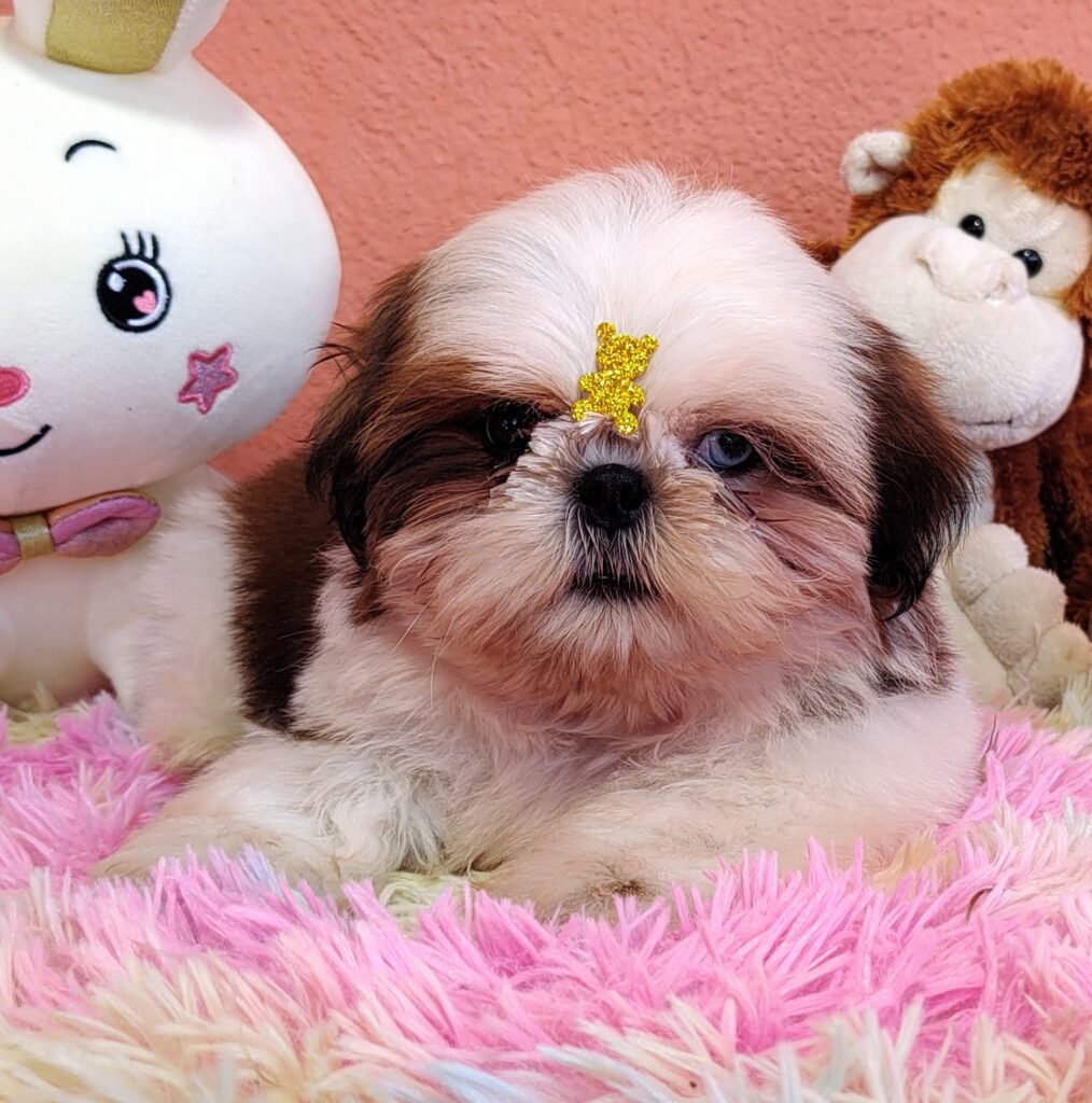 IMG_20230725_133248112