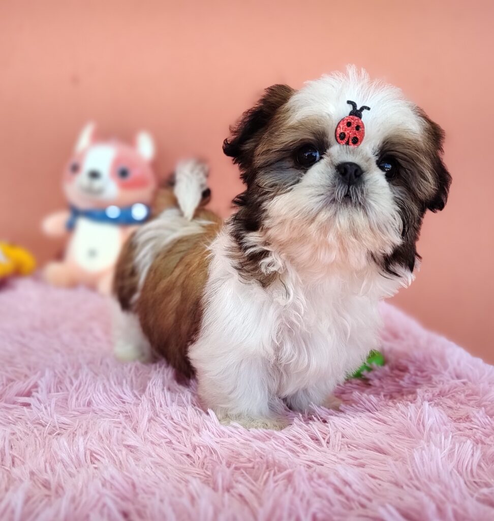 IMG_20230725_133729940_MF_PORTRAIT