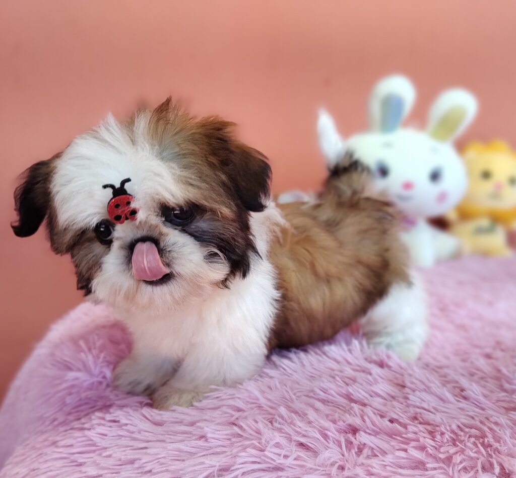 IMG_20230725_134003487_MF_PORTRAIT