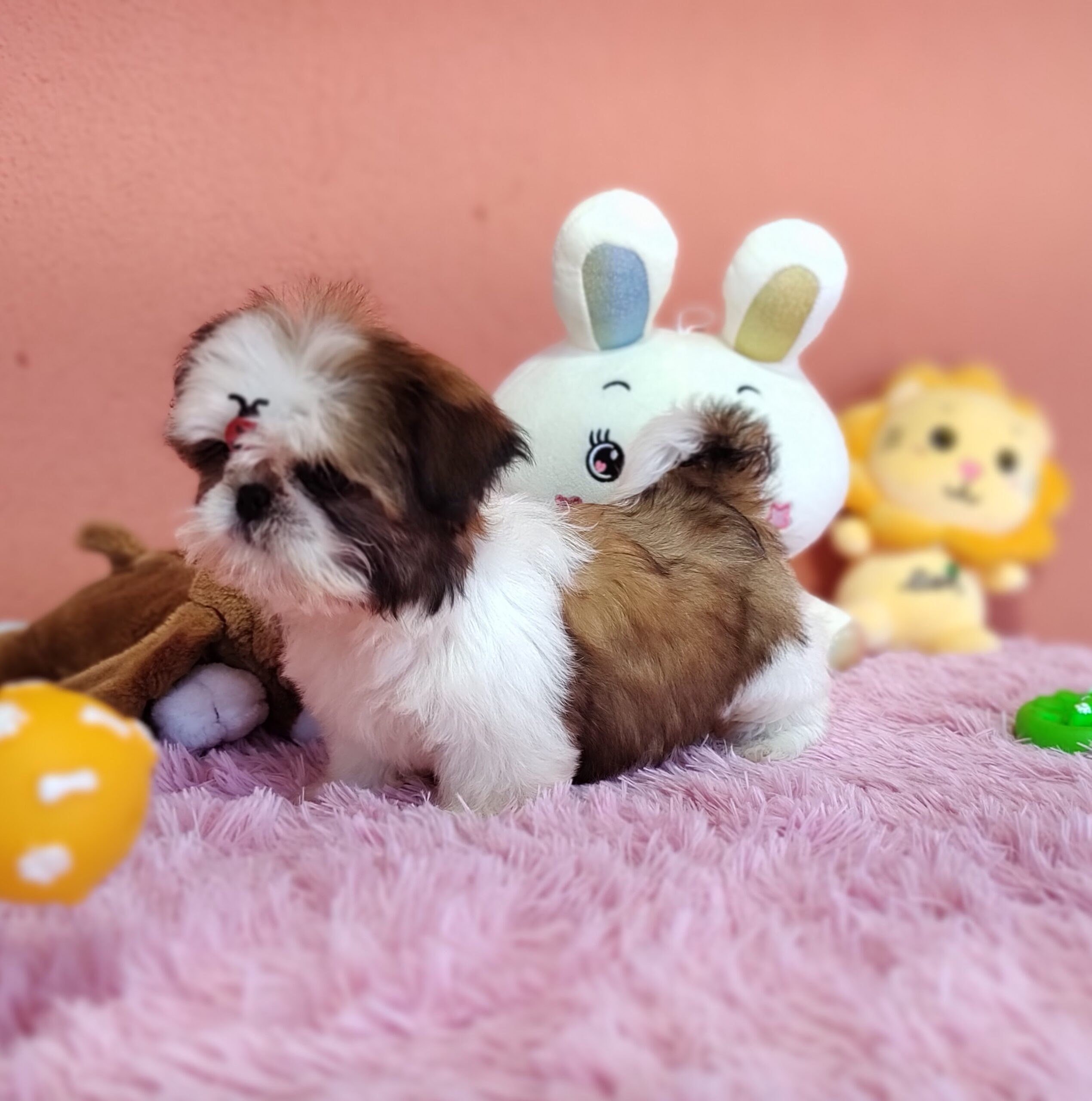 IMG_20230725_134237579_MF_PORTRAIT